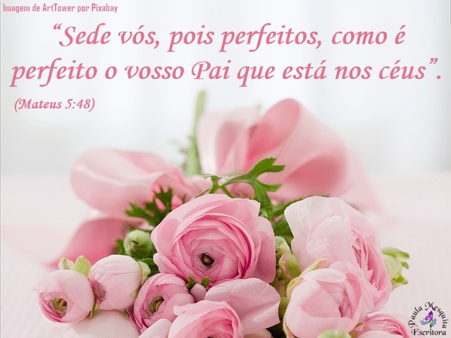 Mateus 5:48 Portanto, sejam perfeitos, assim como é perfeito o Pai